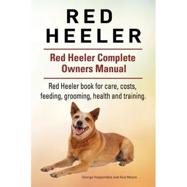 Red Heeler Dog. Red Heeler dog book for costs, care, feeding, grooming, training and health. Red Heeler dog Owners Manual.