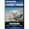 Labradoodle Training: Dog Training With the No BRAINER Dog TRAINER "We Make it That Easy" How to EASILY Train Your Labradoodle