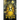 The Eight Legs Of The Devil