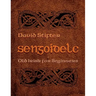 Sengoidelc: Old Irish for Beginners