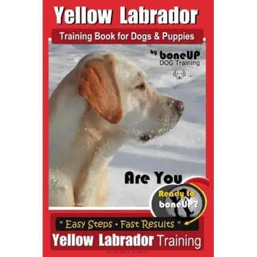 Yellow Labrador Training Book for Dogs and Puppies by BoneUp Dog Training: Are You Ready to Bone Up? Easy Steps * Fast Results Yellow Labrador Trainin