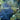 Planet Ocean: Photo-Journey Through Earth's Most Advanced Civilization