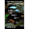 Stacy Sutherland: Down the Rabbit Hole