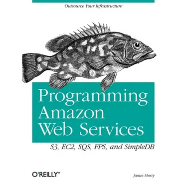 Programming Amazon Web Services: S3, EC2, SQS, FPS, and SimpleDB