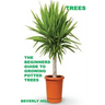 Trees: The Beginners Guide To Growing Potted Trees