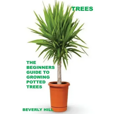 Trees: The Beginners Guide To Growing Potted Trees