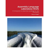 Assembly Language Laboratory Work