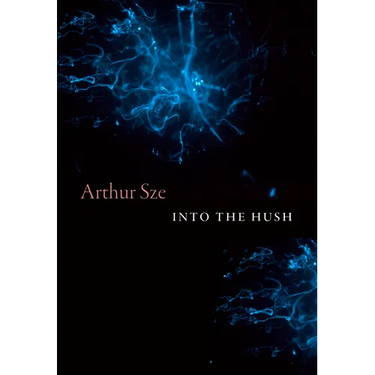 Into the Hush