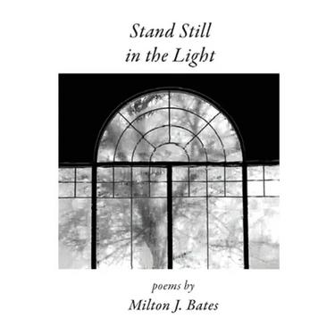Stand Still in the Light