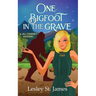 One Bigfoot in the Grave: A Jill Cooksey Mystery