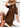 c4d25a9d-7d59-44b0-9f3e-3bd218f6df88-Max