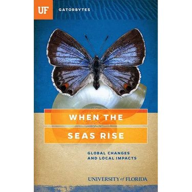 When the Seas Rise: Global Changes and Local Impacts