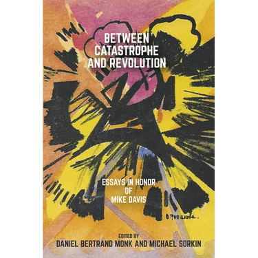 Between Catastrophe and Revolution: Essays in Honor of Mike Davis