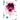 Magenta Fleurs