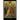 Christ's Twelve