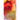 The Evolution: A Mental Rose Series