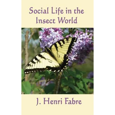 Social Life in the Insect World: Observations on Behavior and Organization in the Insect World