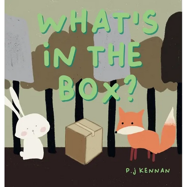What's in the box?: A children's book about imagination and problem solving
