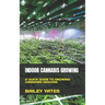 Indoor Cannabis Growing: A Quick Guide to Growing Cannabis Indoors