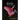 Birds: Intimate Images