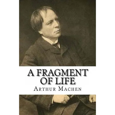 A Fragment of Life
