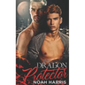 The Dragon Protector: A Gay Shifter Romance