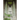 Visible Cities