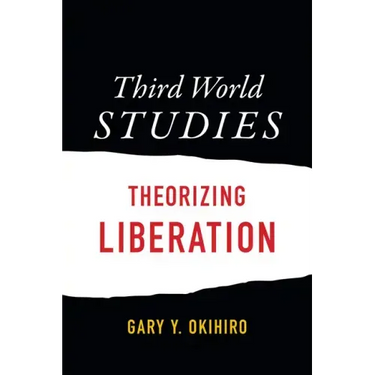 Third World Studies: Theorizing Liberation
