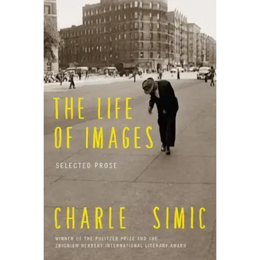 The Life of Images: Selected Prose