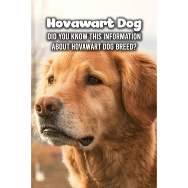 Hovawart Dog: Did You Know This Information About Hovawart Dog Breed?: Hovawart Dog Outline Handbook