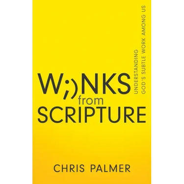 Winks from Scripture: Understanding God's Subtle Work Among Us