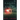 A Light to Kill By