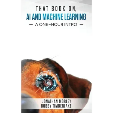 That Book on AI and Machine Learning: A One-Hour Intro