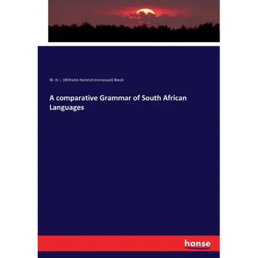 A comparative Grammar of South African Languages