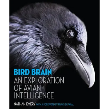 Bird Brain: An Exploration of Avian Intelligence