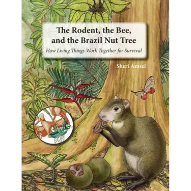 The Rodent, the Bee, and the Brazil Nut Tree: How Living Things Work Together for Survival