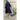 Seasons: A Real Story of an Amish Girl