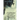 A Glimpse into Your Spiritual Identity