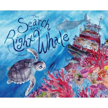 The Search for the Right Whale