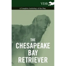 The Chesapeake Bay Retriever - A Complete Anthology of the Dog -