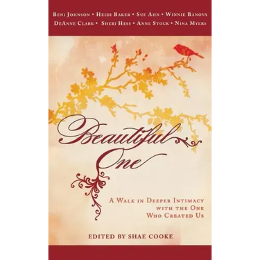 Beautiful One: A Walk in Deeper Intimacy with the One Who Created Us