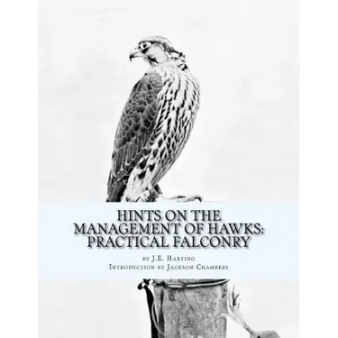 Hints on the Management of Hawks: Practical Falconry