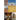 New Mexico Mission Churches
