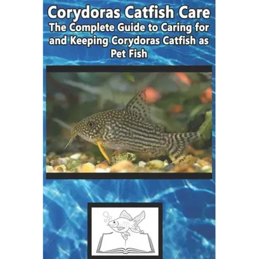 Corydoras Catfish Care: The Complete Guide to Caring for and Keeping Corydoras Catfish as Pet Fish
