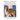 Medical, Genetic & Behavioral Risk Factors of Collies