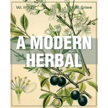 A Modern Herbal (Volume 2, I-Z and Indexes)