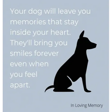 Condolence book for dogs (hardback cover)