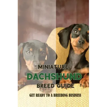 Miniature Dachshund Breed Guide: Get Ready To A Breeding Business: How Are Mini Dachshunds Bred