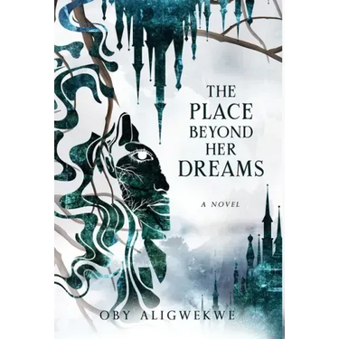 The Place Beyond Her Dreams