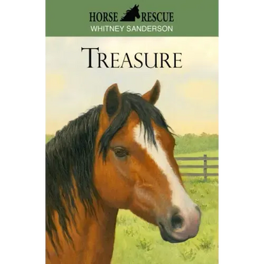 Horse Rescue: Treasure